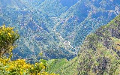 Wat te doen en zien op Madeira: 15 tips voor je rondreis